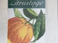 22. Wiener Zitrustage