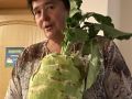 Dieser Kohlrabi reicht auch für eine große Familie